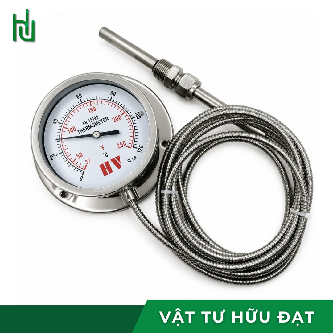 Đồng hồ đo nhiệt độ HV mặt 100 với dây dẫn bọc lưới inox dài 3m